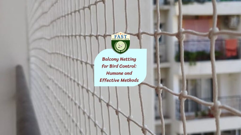 Balcony Netting for Bird Control: Humane and Effective Methods