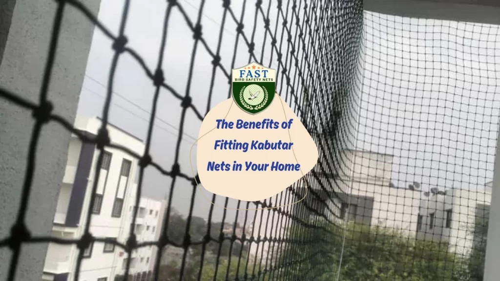 The Benefits of Fitting Kabutar Nets in Your Home