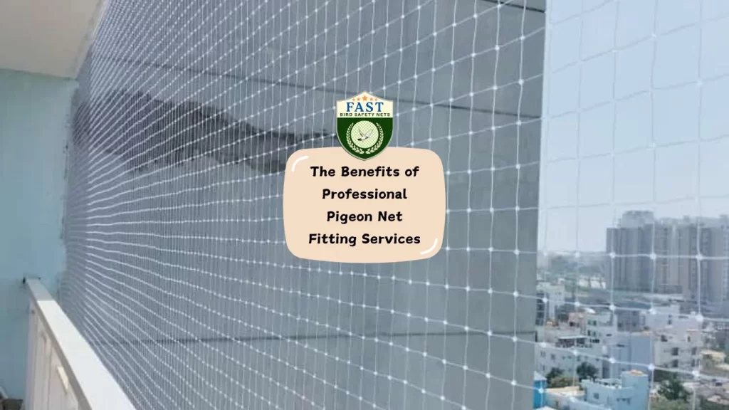 The Benefits of Professional Pigeon Net Fitting Services