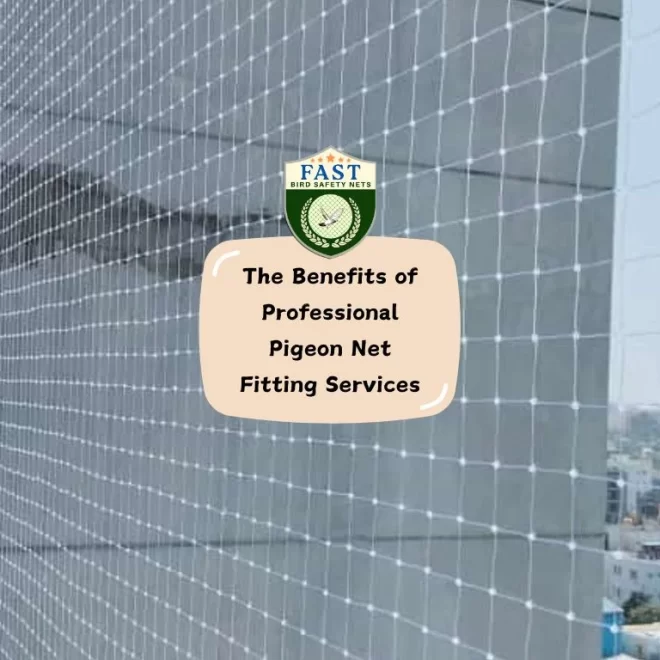 The Benefits of Professional Pigeon Net Fitting Services