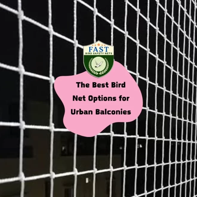 The Best Bird Net Options for Urban Balconies