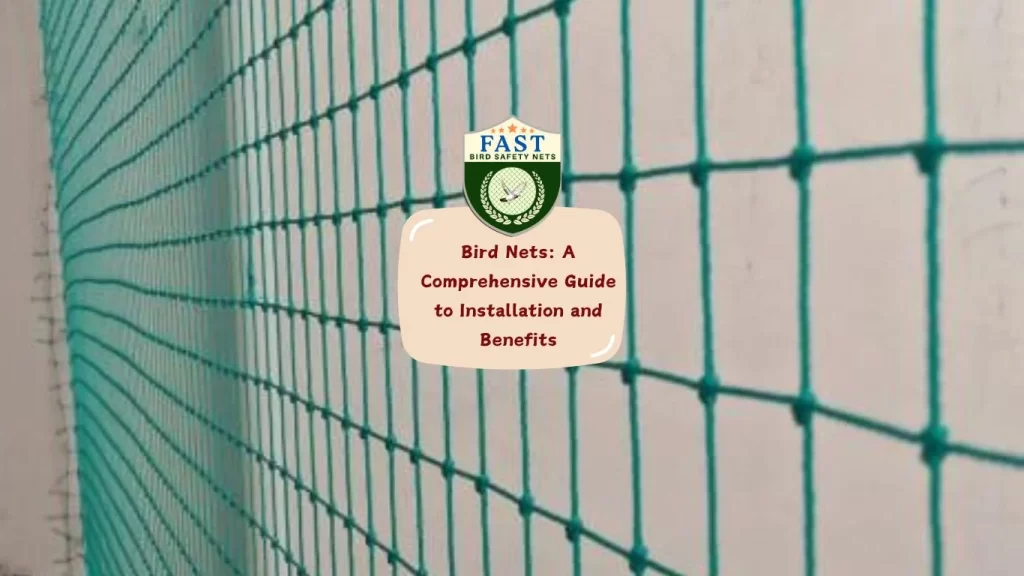 Bird Nets: A Comprehensive Guide to Installation and Benefits