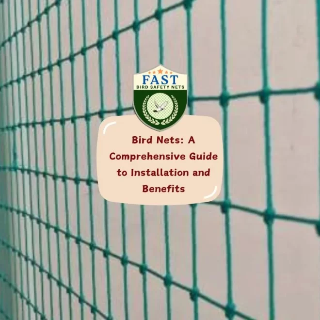 Bird Nets: A Comprehensive Guide to Installation and Benefits