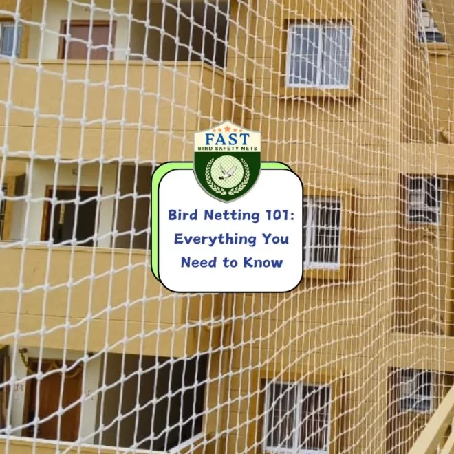 Bird Netting 101: Everything You Need to Know