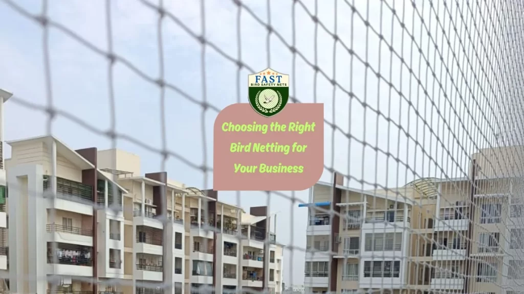 Choosing the Right Bird Netting for Your Business