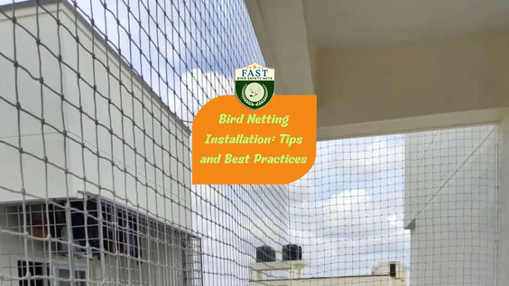 Bird Netting Installation: Tips and Best Practices