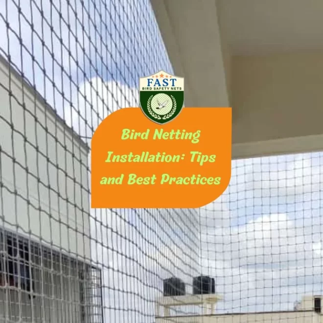 Bird Netting Installation: Tips and Best Practices