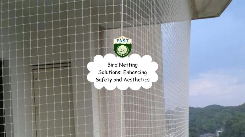 Bird Netting Solutions: Enhancing Safety and Aesthetics