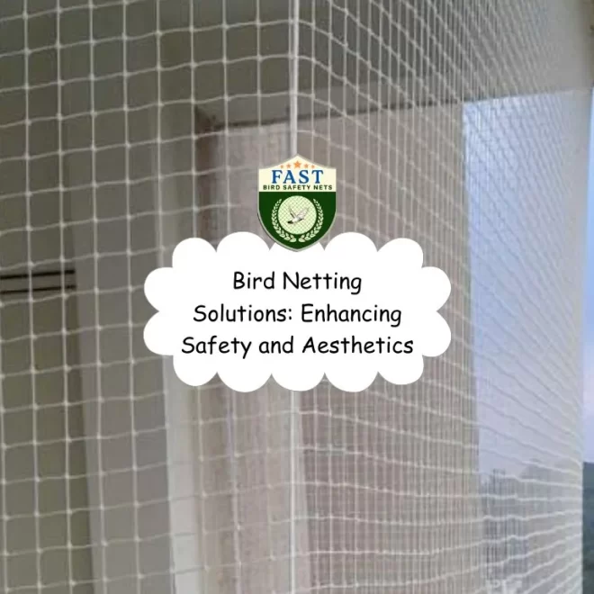 Bird Netting Solutions: Enhancing Safety and Aesthetics