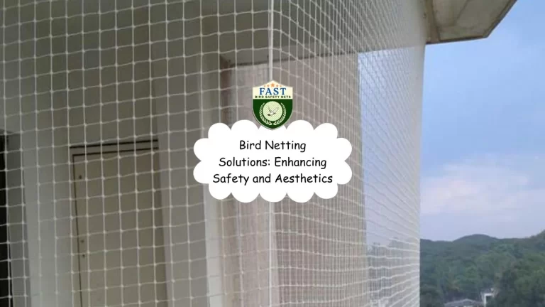 Bird Netting Solutions: Enhancing Safety and Aesthetics