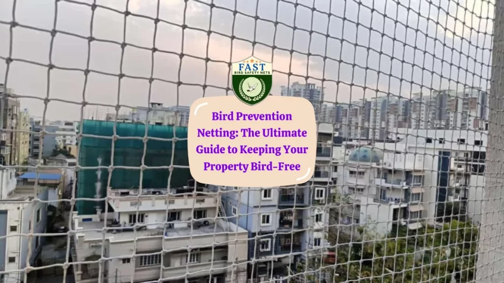 Bird Prevention Netting: The Ultimate Guide to Keeping Your Property Bird-Free