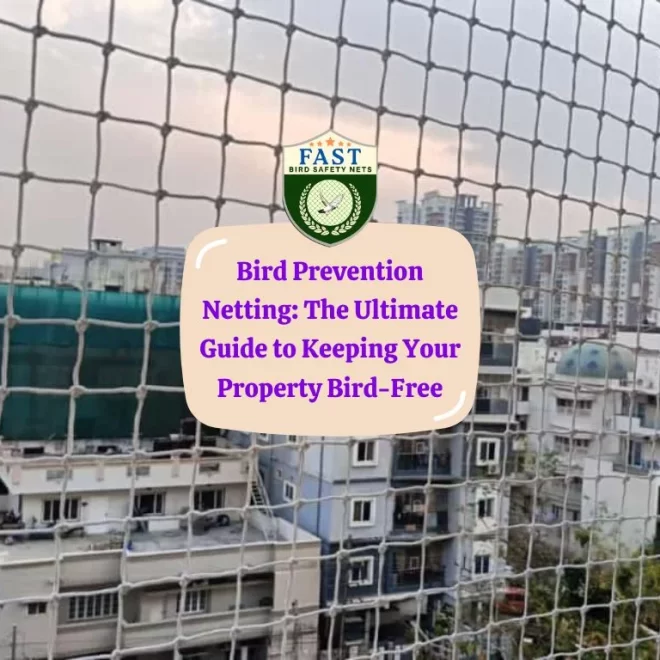 Bird Prevention Netting: The Ultimate Guide to Keeping Your Property Bird-Free