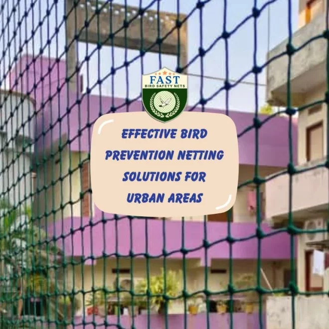 Effective Bird Prevention Netting Solutions for Urban Areas
