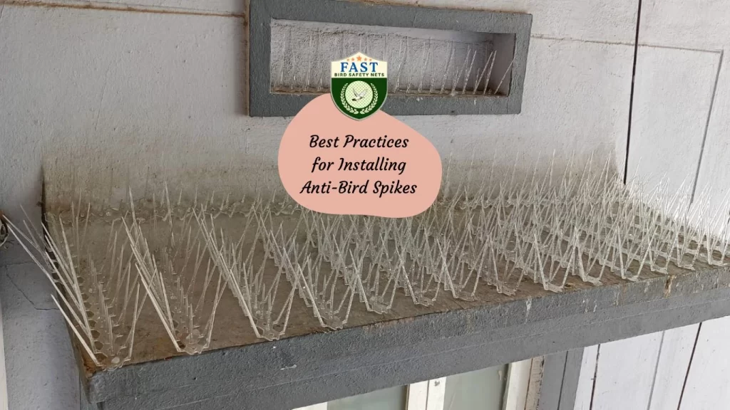 Best Practices for Installing Anti-Bird Spikes