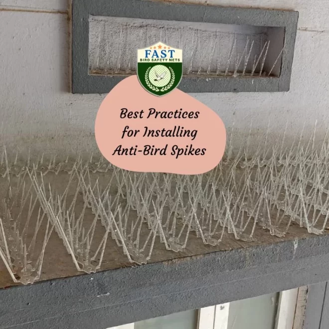 Best Practices for Installing Anti-Bird Spikes