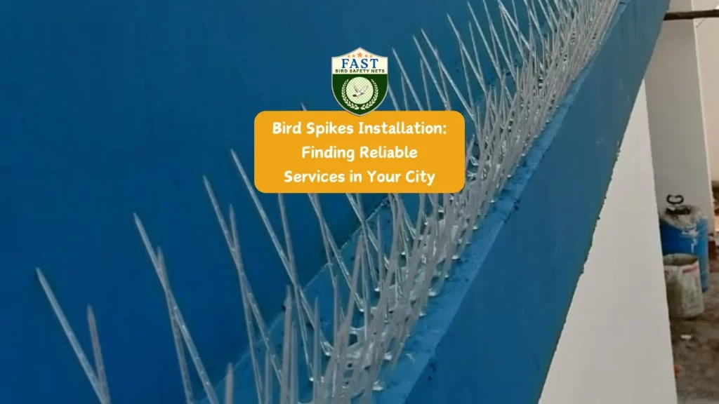 Bird Spikes Installation: Finding Reliable Services in Your City