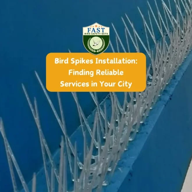 Bird Spikes Installation: Finding Reliable Services in Your City