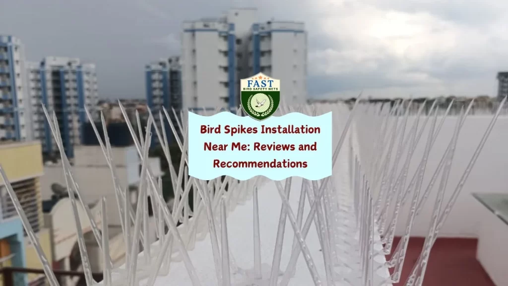 Bird Spikes Installation Near Me: Reviews and Recommendations