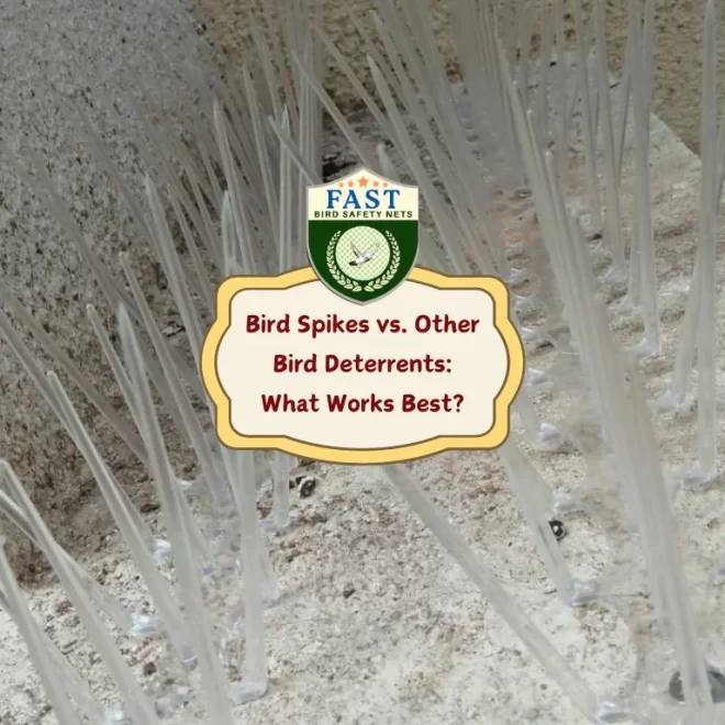 Bird Spikes vs. Other Bird Deterrents: What Works Best?