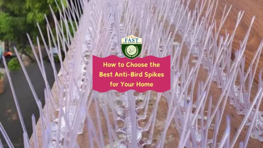 How to Choose the Best Anti-Bird Spikes for Your Home