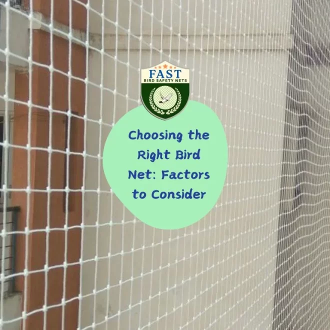 Choosing the Right Bird Net: Factors to Consider