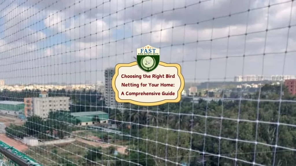 Choosing the Right Bird Netting for Your Home: A Comprehensive Guide