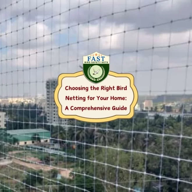 Choosing the Right Bird Netting for Your Home: A Comprehensive Guide