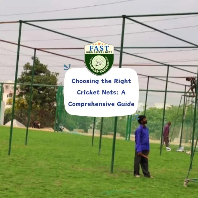 Choosing the Right Cricket Net: A Comprehensive Guide