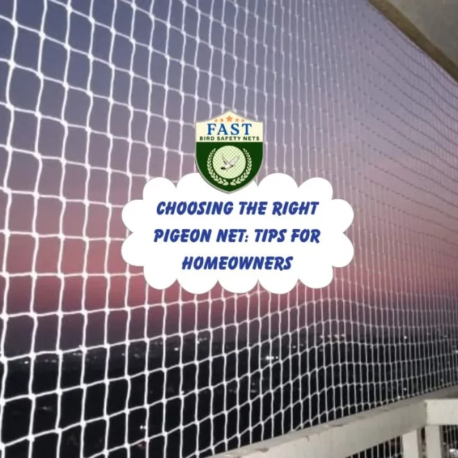 Choosing the Right Pigeon Net: Tips for Homeowners