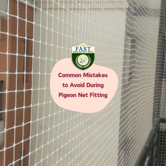 Common Mistakes to Avoid During Pigeon Net Fitting