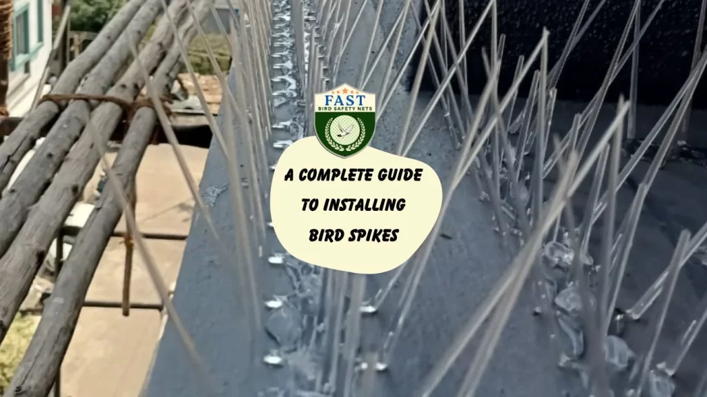 A Complete Guide to Installing Bird Spikes