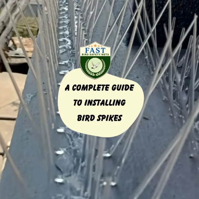 A Complete Guide to Installing Bird Spikes