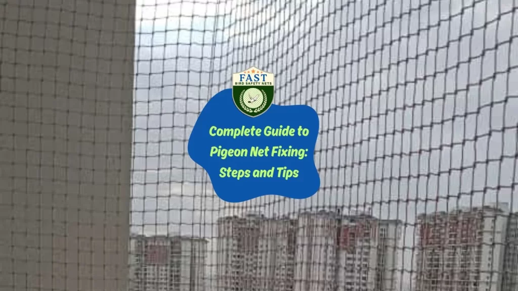 Complete Guide to Pigeon Net Fixing: Steps and Tips