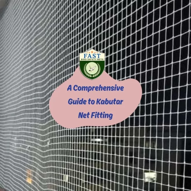 A Comprehensive Guide to Kabutar Net Fitting