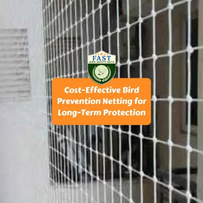 Cost-Effective Bird Prevention Netting for Long-Term Protection