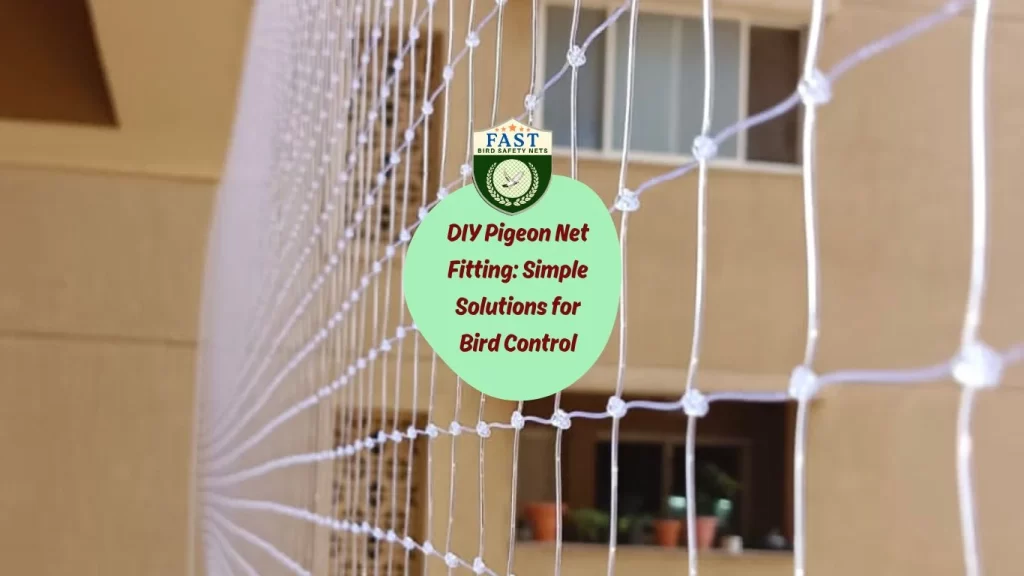 DIY Pigeon Net Fitting: Simple Solutions for Bird Control