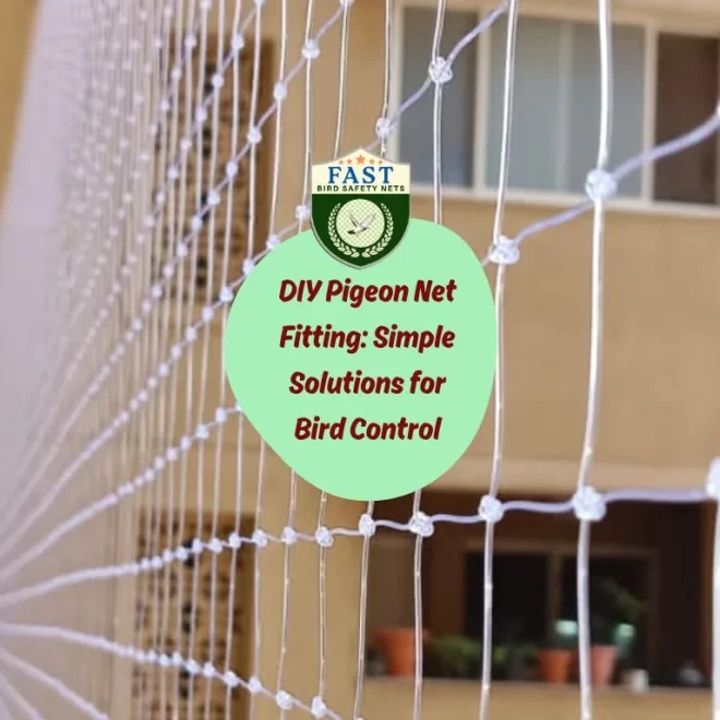 DIY Pigeon Net Fitting: Simple Solutions for Bird Control