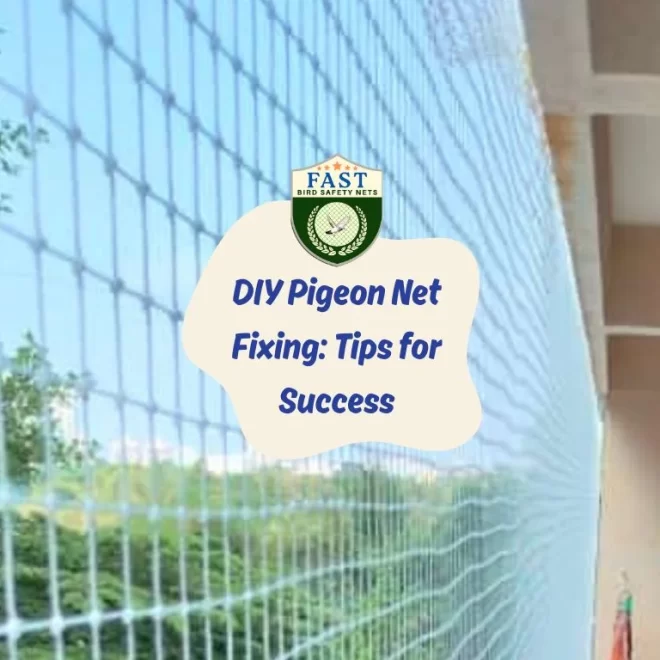 DIY Pigeon Net Fixing: Tips for Success
