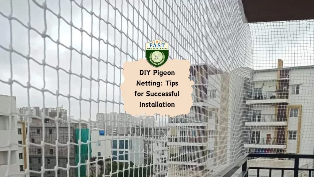 DIY Pigeon Netting: Tips for Successful Installation