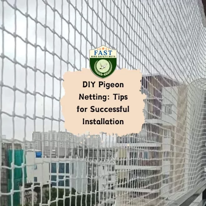 DIY Pigeon Netting: Tips for Successful Installation