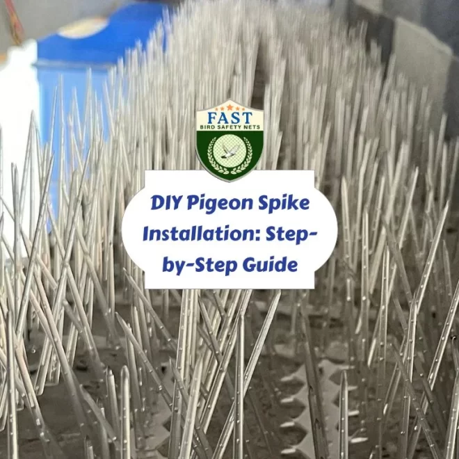 DIY Pigeon Spike Installation: Step-by-Step Guide