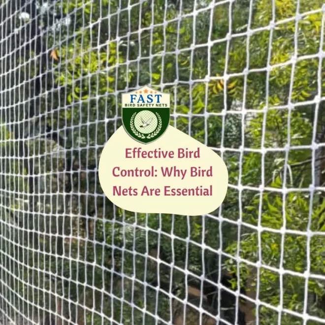 Effective Bird Control: Why Bird Nets Are Essential