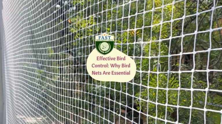 Effective Bird Control: Why Bird Nets Are Essential