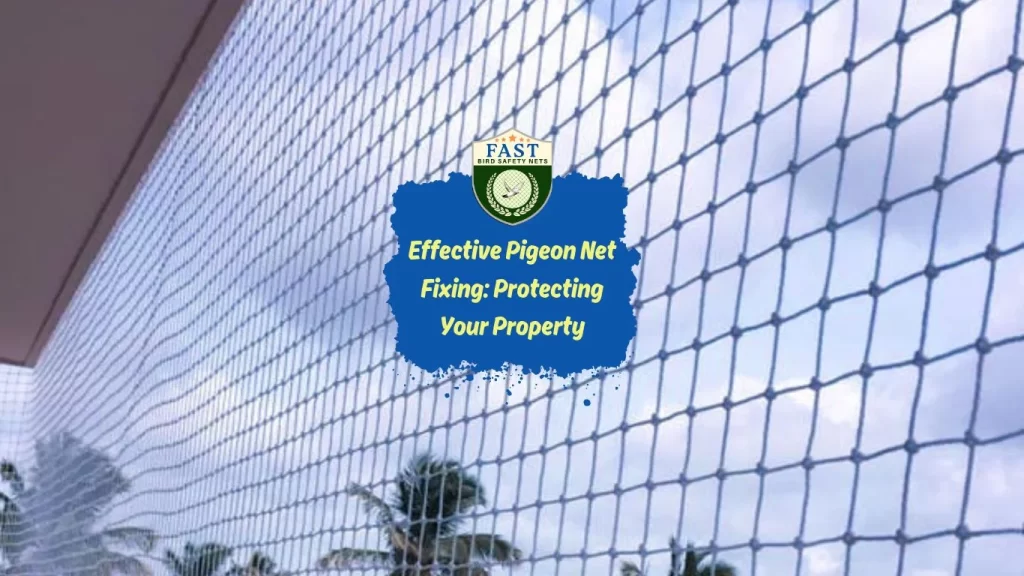 Effective Pigeon Net Fixing: Protecting Your Property