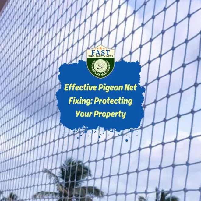 Effective Pigeon Net Fixing: Protecting Your Property