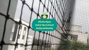 Effective Pigeon Control: Tips to Prevent Nesting and Roosting