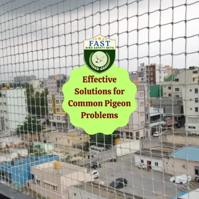 Kabutar Net Fitting: Keeping Your Home Bird-Free