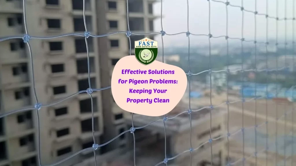 Effective Solutions for Pigeon Problems: Keeping Your Property Clean