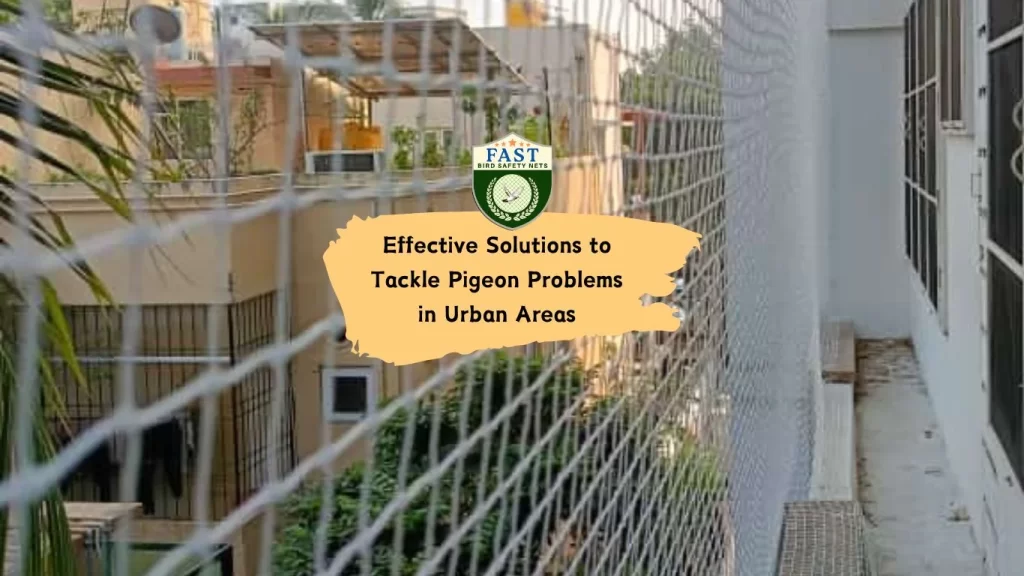 Effective Solutions to Tackle Pigeon Problems in Urban Areas