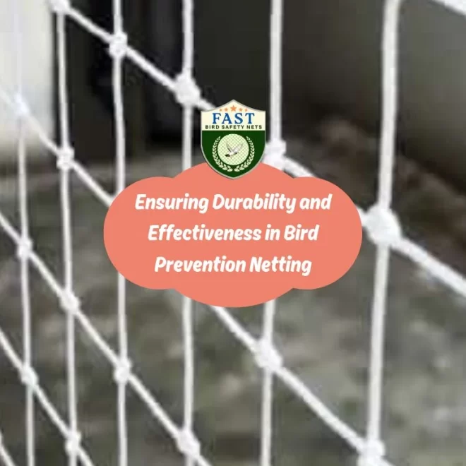 Ensuring Durability and Effectiveness in Bird Prevention Netting